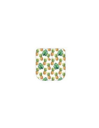 CAPA PIÑAS CIERRE CORCHETES